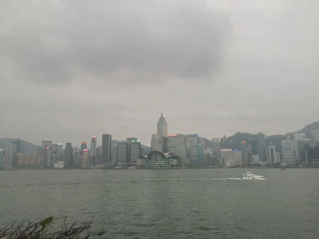 图片来源:自拍